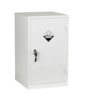1-Door Acid Cabinet, 1 Shelf (50mm Sump) - 76x46x46cm (HWD)